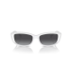 MICHAEL KORS 2210U/3100/8G 54 ASHEVILLE MICHAEL KORS 2210U/3100/8G 54 ASHEVILLE